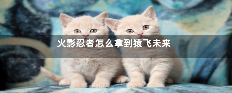 火影忍者怎么拿到猿飞未来