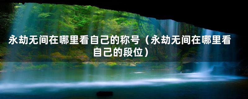 永劫无间在哪里看自己的称号（永劫无间在哪里看自己的段位）