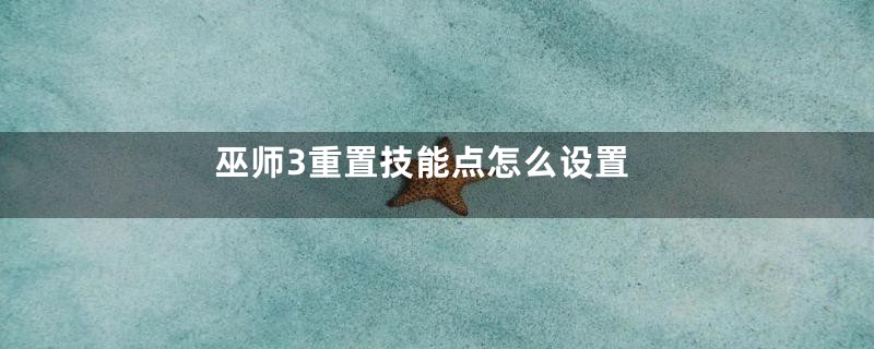 巫师3重置技能点怎么设置