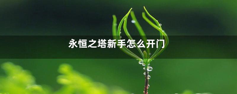 永恒之塔新手怎么开门