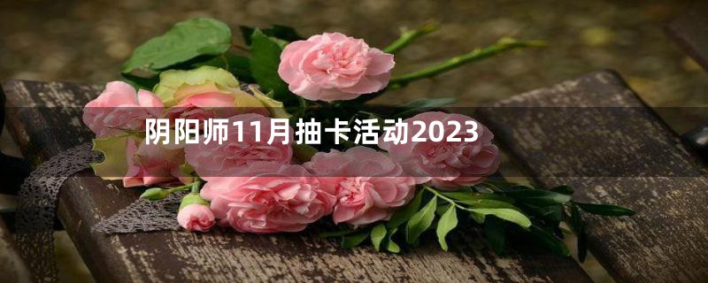 阴阳师11月抽卡活动2023