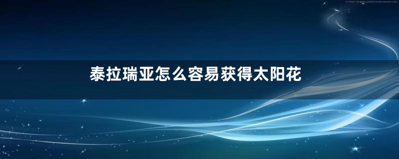 泰拉瑞亚怎么容易获得太阳花