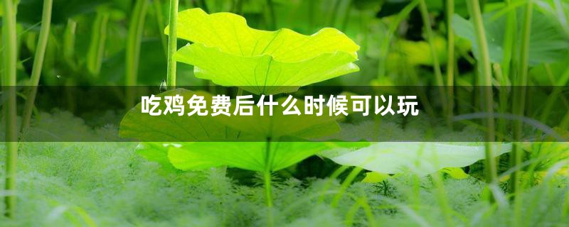 吃鸡免费后什么时候可以玩