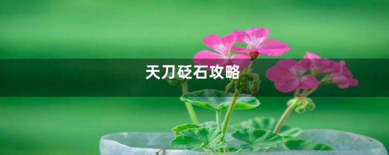 天刀砭石攻略