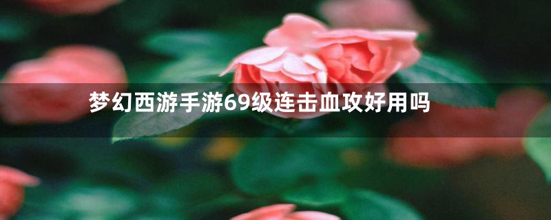 梦幻西游手游69级连击血攻好用吗