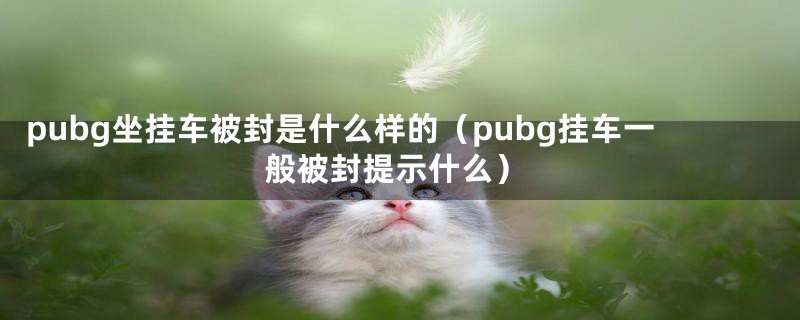 pubg坐挂车被封是什么样的（pubg挂车一般被封提示什么）