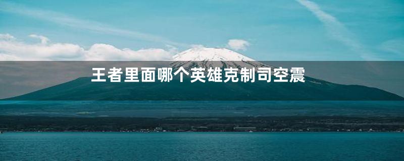 王者里面哪个英雄克制司空震