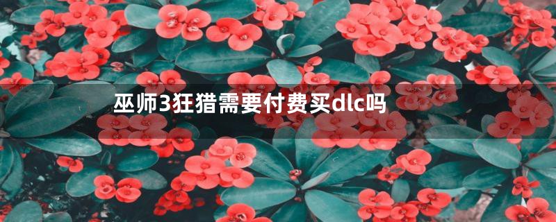 巫师3狂猎需要付费买dlc吗