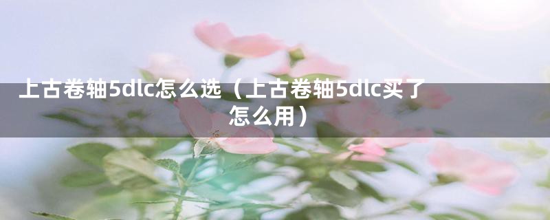 上古卷轴5dlc怎么选（上古卷轴5dlc买了怎么用）