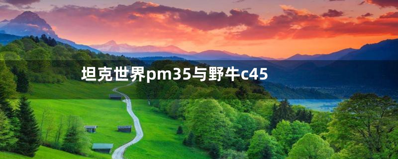 坦克世界pm35与野牛c45