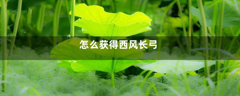 怎么获得西风长弓