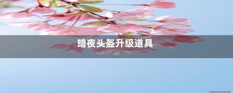 暗夜头盔升级道具