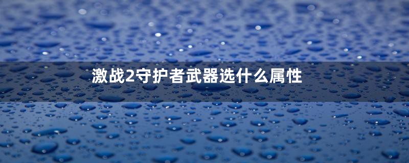 激战2守护者武器选什么属性