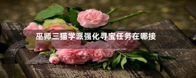 巫师三猫学派强化寻宝任务在哪接