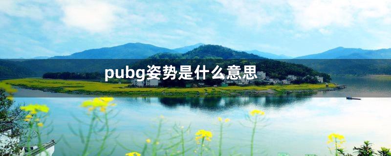 pubg姿势是什么意思