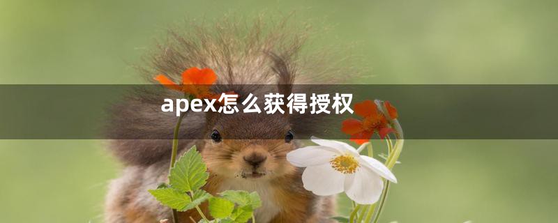 apex怎么获得授权