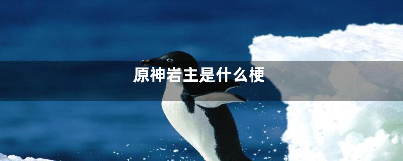 原神岩主是什么梗