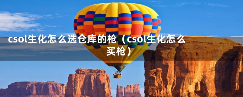 csol生化怎么选仓库的枪（csol生化怎么买枪）