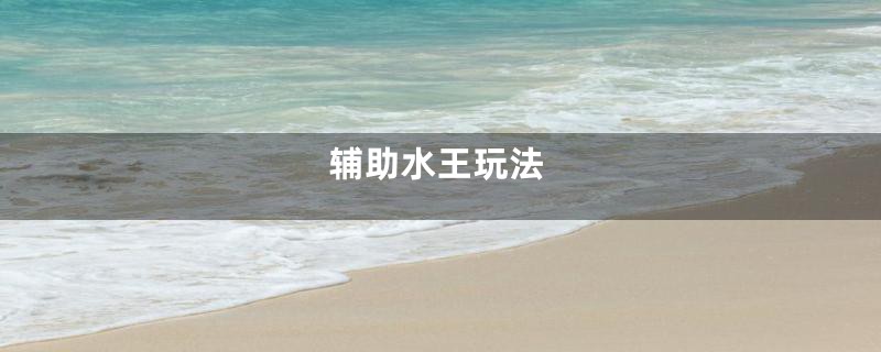 辅助水王玩法