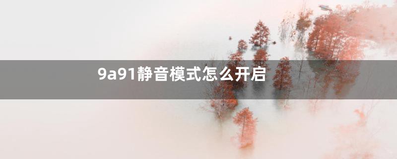 9a91静音模式怎么开启