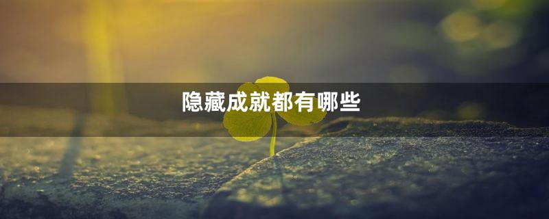 隐藏成就都有哪些