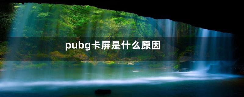 pubg卡屏是什么原因