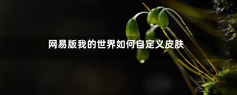 网易版我的世界如何自定义皮肤