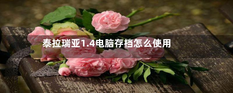 泰拉瑞亚1.4电脑存档怎么使用