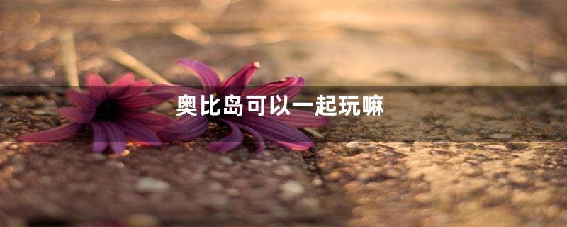 奥比岛可以一起玩嘛