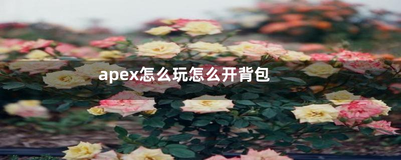 apex怎么玩怎么开背包