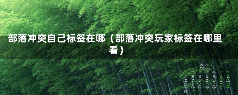 部落冲突自己标签在哪（部落冲突玩家标签在哪里看）