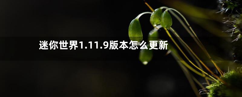 迷你世界1.11.9版本怎么更新