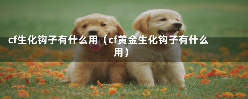 cf生化钩子有什么用（cf黄金生化钩子有什么用）