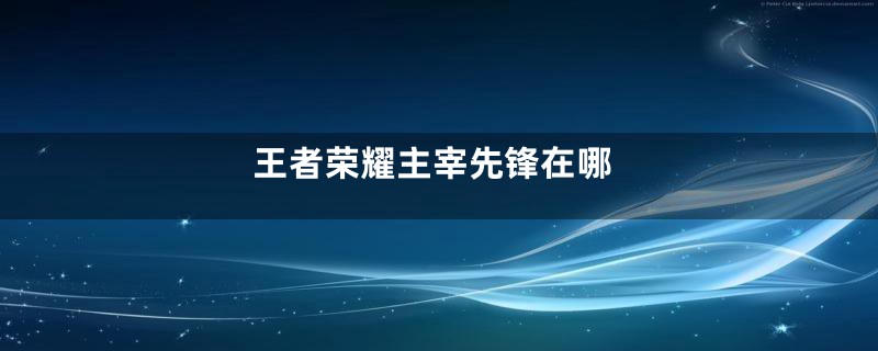 王者荣耀主宰先锋在哪