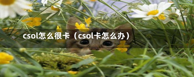 csol怎么很卡（csol卡怎么办）