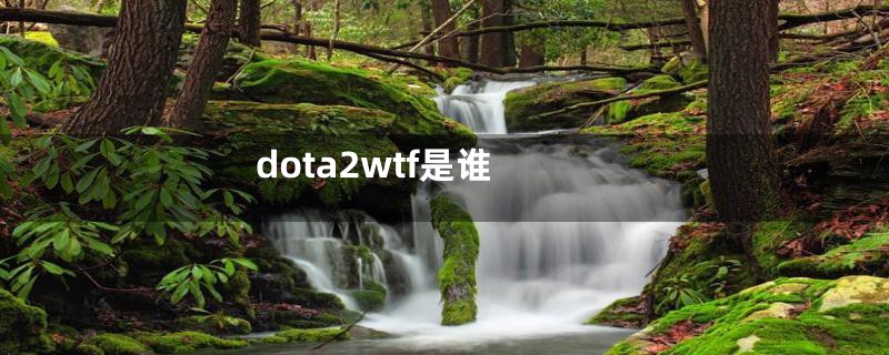 dota2wtf是谁