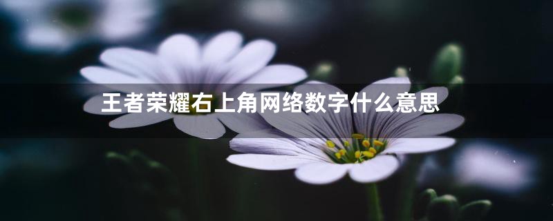 王者荣耀右上角网络数字什么意思