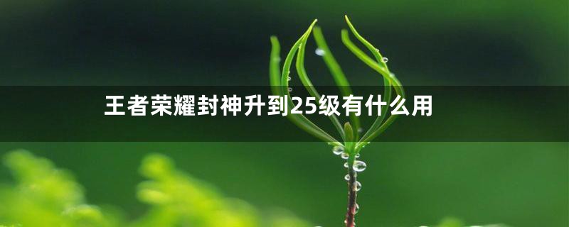 王者荣耀封神升到25级有什么用