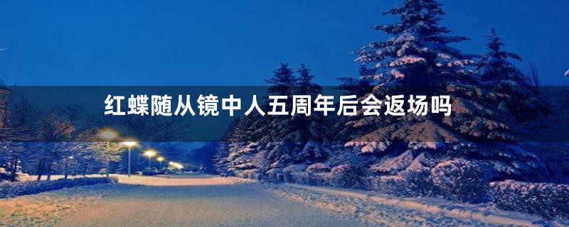 红蝶随从镜中人五周年后会返场吗