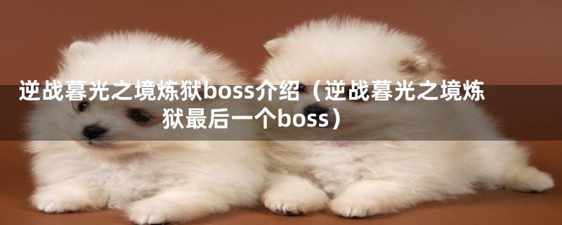 逆战暮光之境炼狱boss介绍（逆战暮光之境炼狱最后一个boss）