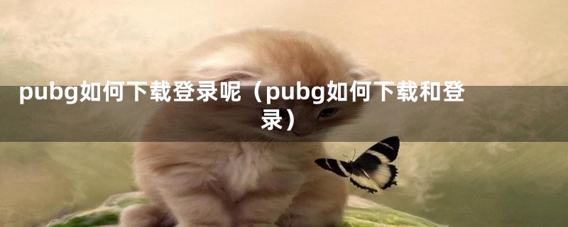 pubg如何下载登录呢（pubg如何下载和登录）