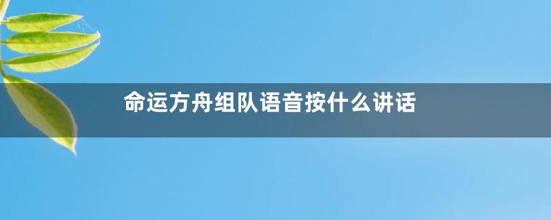 命运方舟组队语音按什么讲话