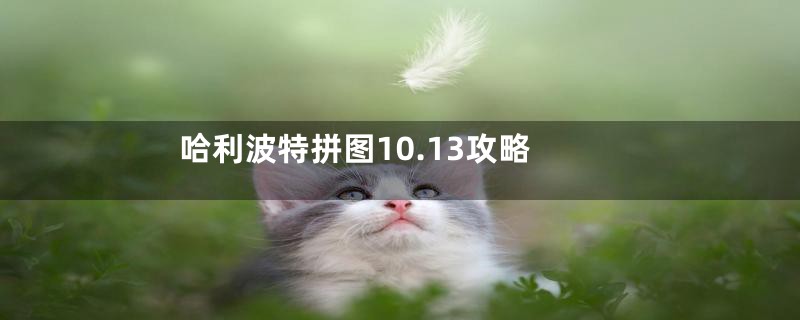 哈利波特拼图10.13攻略