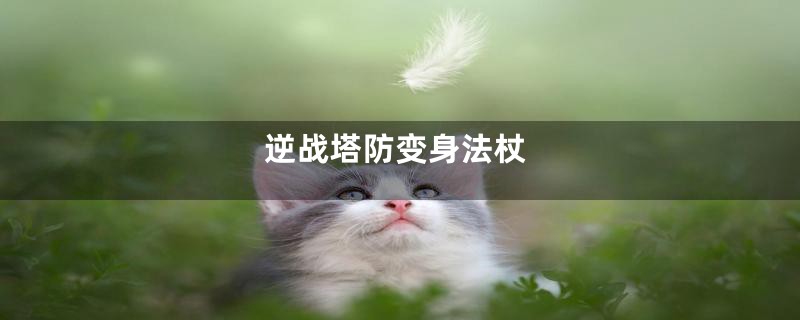 逆战塔防变身法杖