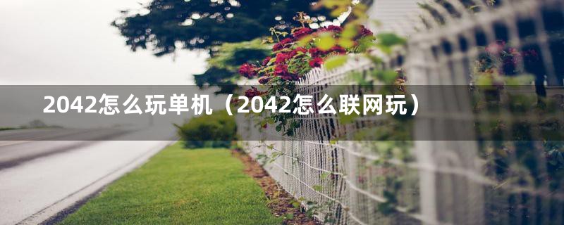 2042怎么玩单机（2042怎么联网玩）