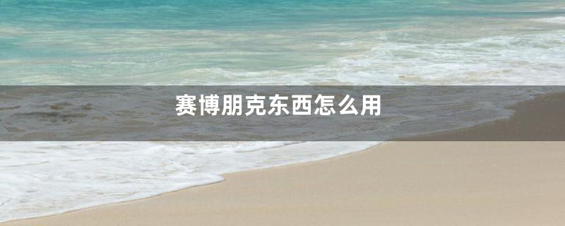 赛博朋克东西怎么用