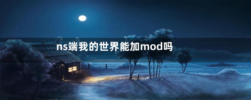 ns端我的世界能加mod吗