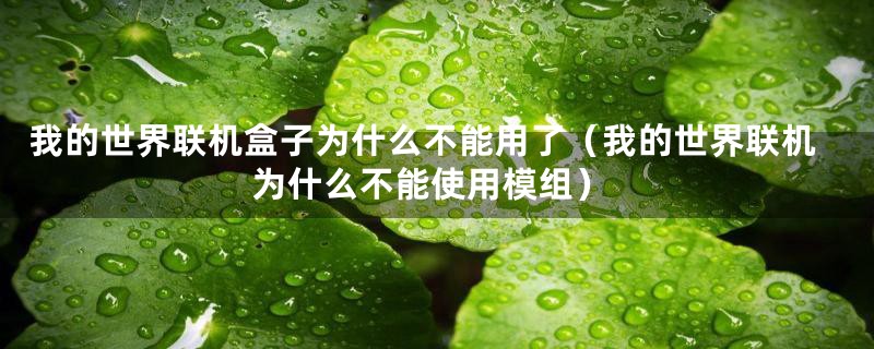 我的世界联机盒子为什么不能用了（我的世界联机为什么不能使用模组）