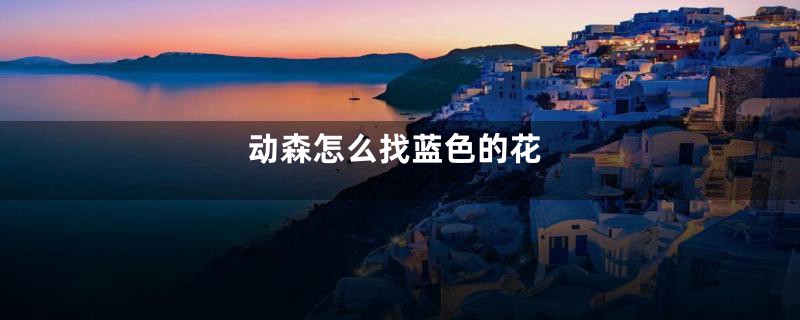 动森怎么找蓝色的花