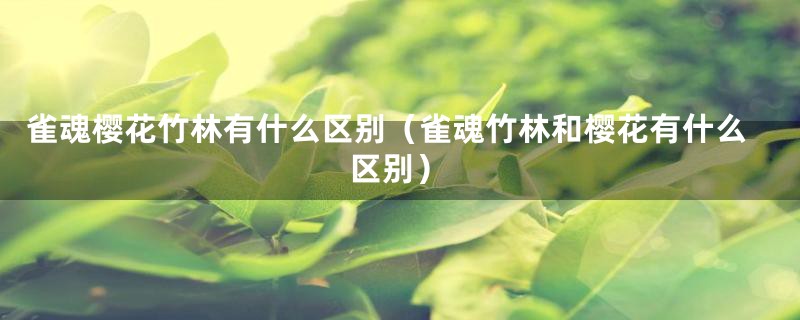 雀魂樱花竹林有什么区别（雀魂竹林和樱花有什么区别）